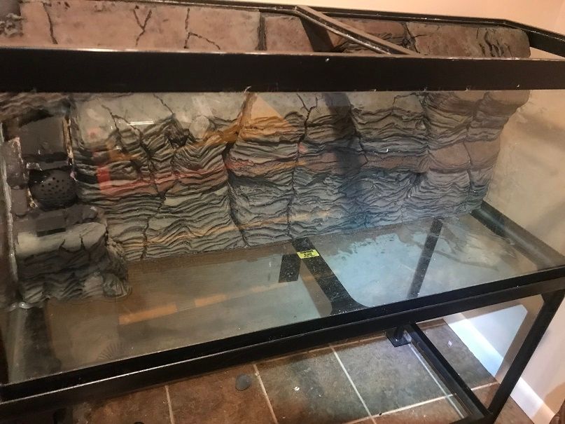 DIY Styrofoam/Drylok Aquarium Shale Wall Background Cichlid Fish Forum